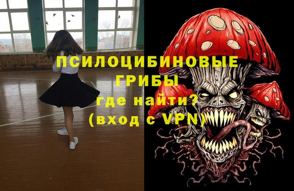 ECSTASY Медвежьегорск