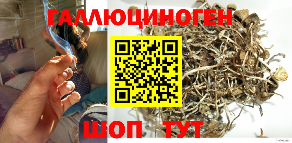 Галлюциногенные грибы мицелий  Дедовск  Галлюциногенные грибы мухоморы 