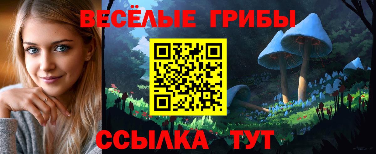 Дедовск  Галлюциногенные грибы Magic Shrooms  Вход с VPN 