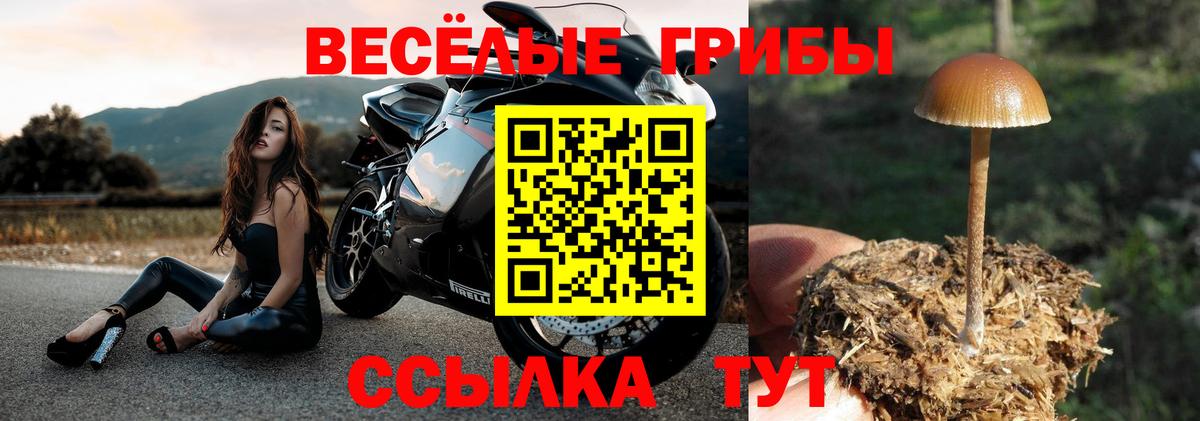 Мед  Дедовск  Мефедрон  Меф  XTC  Cocaine  Вход с VPN  Масло THC 