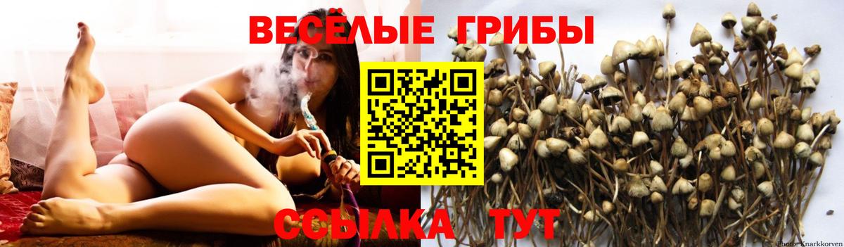 Героин Дедовск
